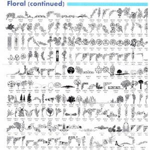 Floral Cont