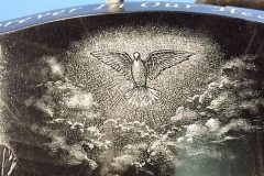 Dove in clouds